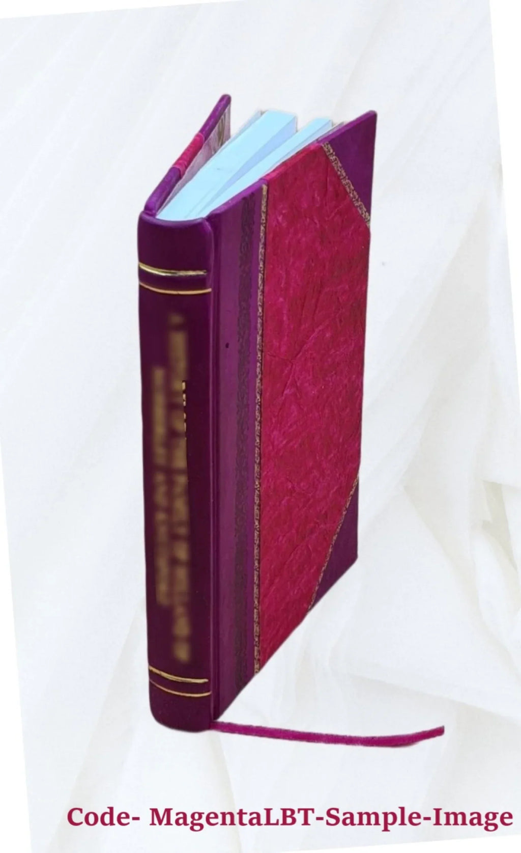 padi Bound] Handleiding Moesa. de 1864 Hadji door voor Moehamad van velden natte op Raden (sawahs) [Leather / kultuur