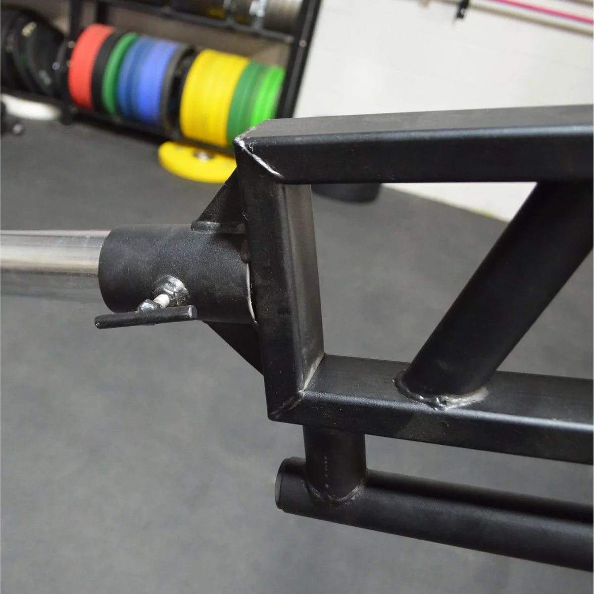 Handles Stand & Combo Titan Gnarly Landmine Fitness