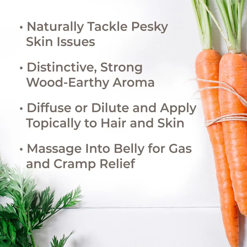 (1 Therapeutic oz.) 30 mL Plant Seed Grade Essential Therapy Undiluted, Pure, 100% Carrot fl. Oil