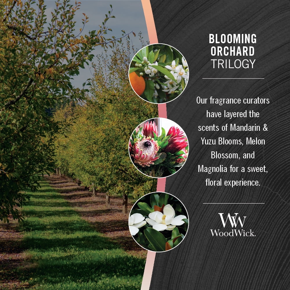 Blooming Candle - WoodWick Trilogy Ellipse Orchard