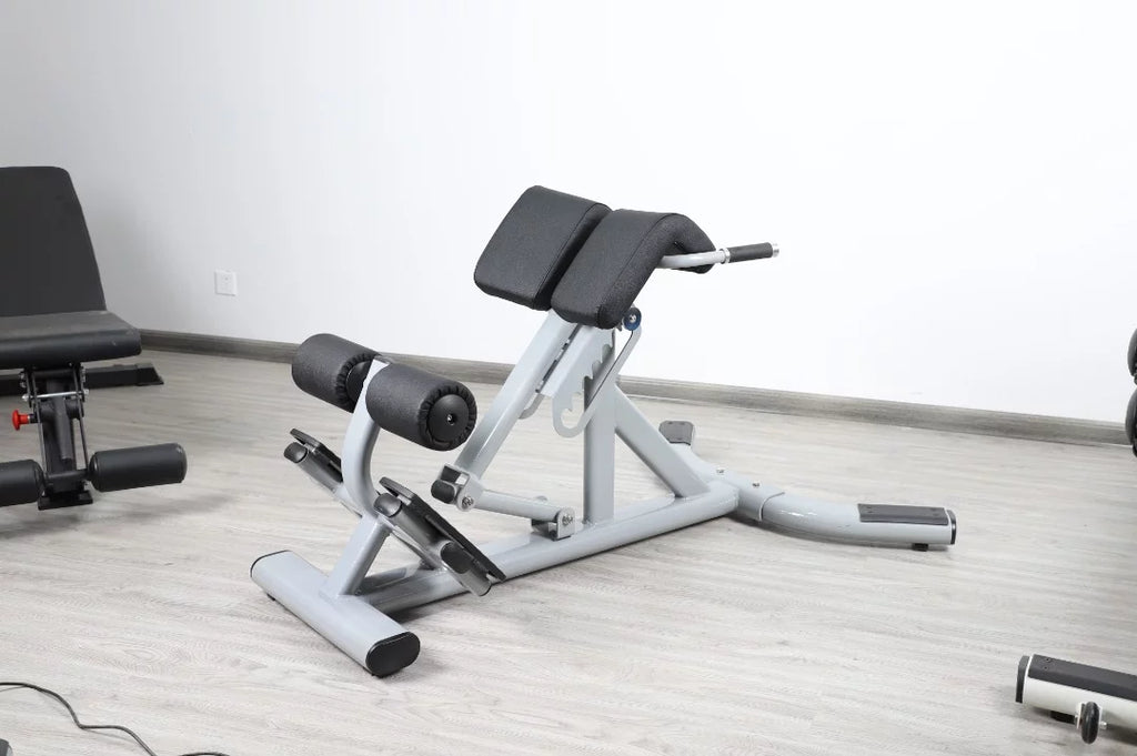 Back Degree Fitness 45 FFS French Silver Extension Hyperextension (New)