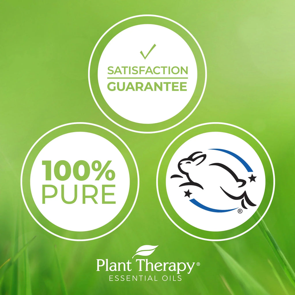 (1 Therapeutic oz.) 30 mL Plant Seed Grade Essential Therapy Undiluted, Pure, 100% Carrot fl. Oil