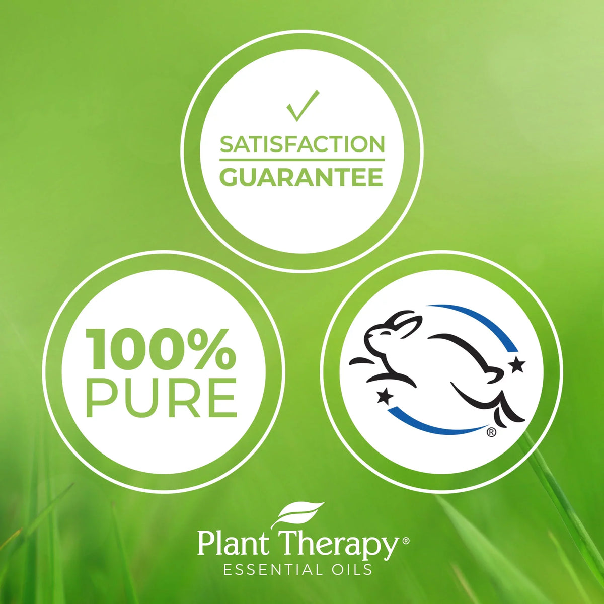 (1 Therapeutic oz.) 30 mL Plant Seed Grade Essential Therapy Undiluted, Pure, 100% Carrot fl. Oil