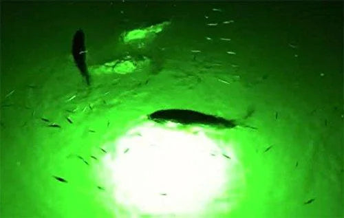 Light Underwater LED Remote Color Changing Multi-Color Control with Fishing Dock-7500