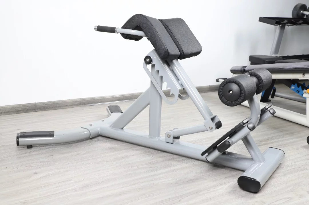 Back Degree Fitness 45 FFS French Silver Extension Hyperextension (New)