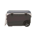 Roller Blue & Cooler, Gray 90 Latitude qt.