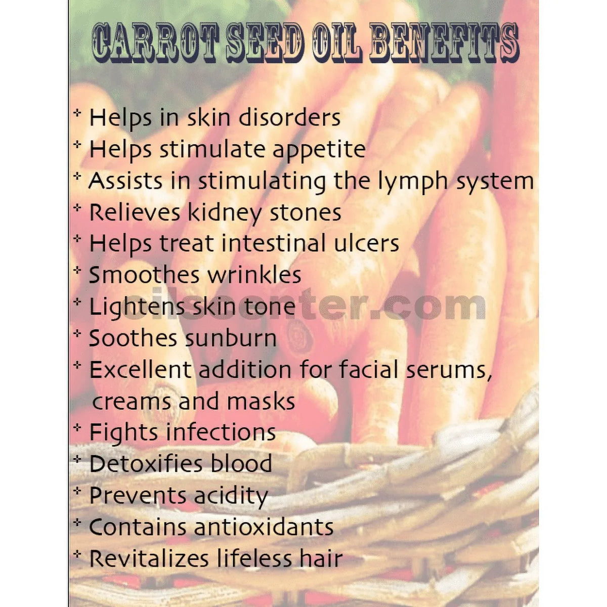 Pressed Pure Oil Cold Fresh 100% Carrier Organic oz Premium Seed Carrot 36
