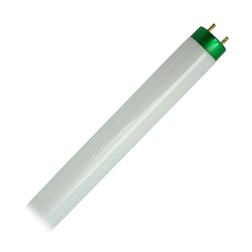 Bulb - ADV841 ALTO Philips (Case Light 280859 F32T8 30) Tube T8 Fluorescent of Straight