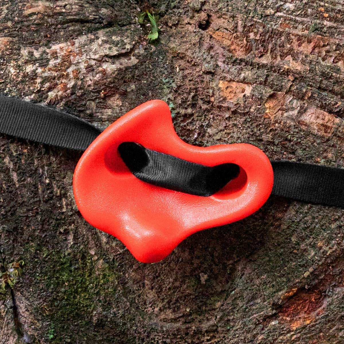 Large Climbing, Tree Holds 6 Climbing Course Living for Tree Training Sturdy 18 Brizi Kids Rocks Ratchet Straps and Outdoor Obstacle for Warrior Climbing