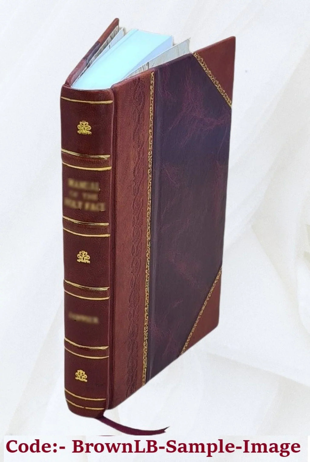 [Leather Collections Volume 1824 Bound] 11