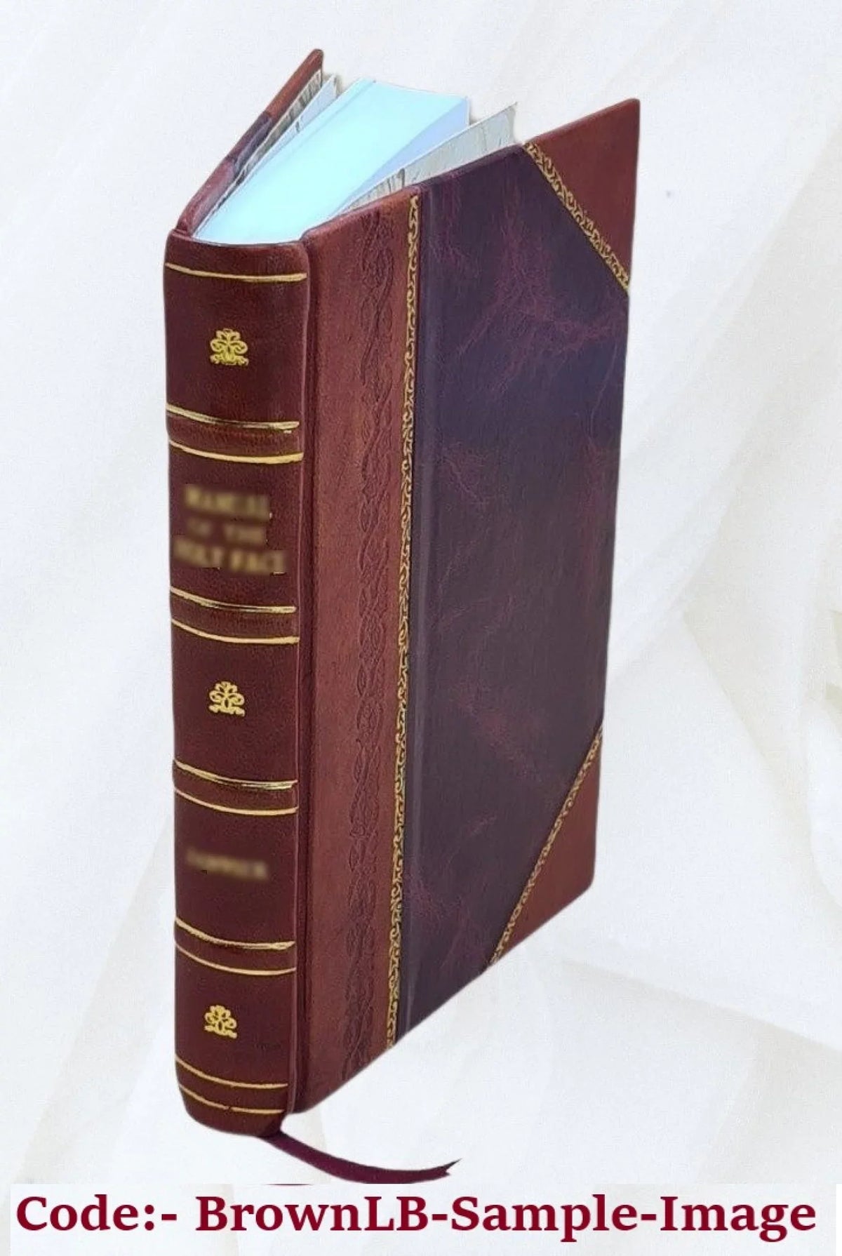 [Leather Collections Volume 1824 Bound] 11