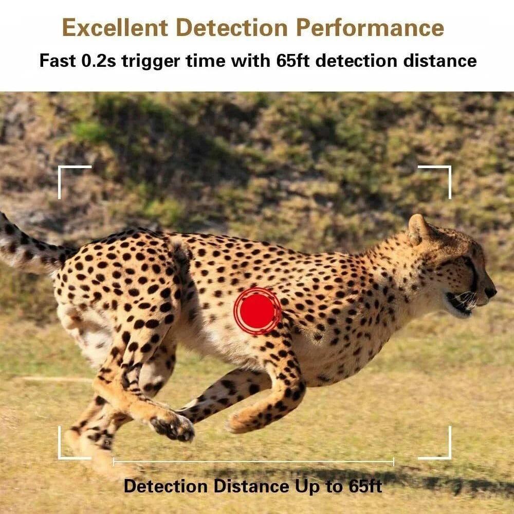 Night Trail Camera 32G Hunting Game Waterproof 1080P Camera Wildlife IClover 24MP Vision