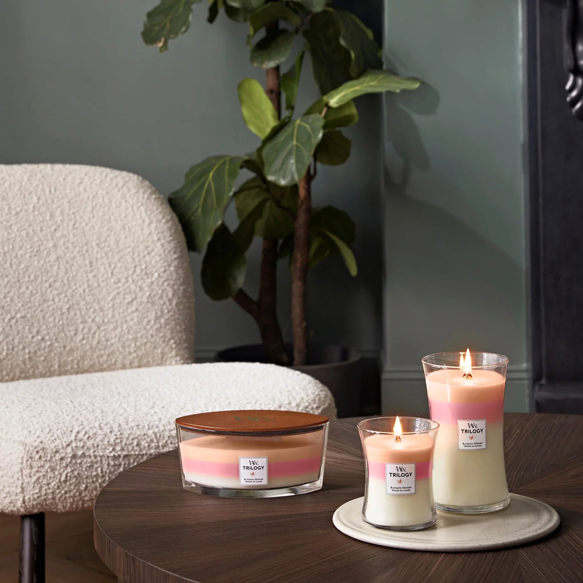 Blooming Candle - WoodWick Trilogy Ellipse Orchard