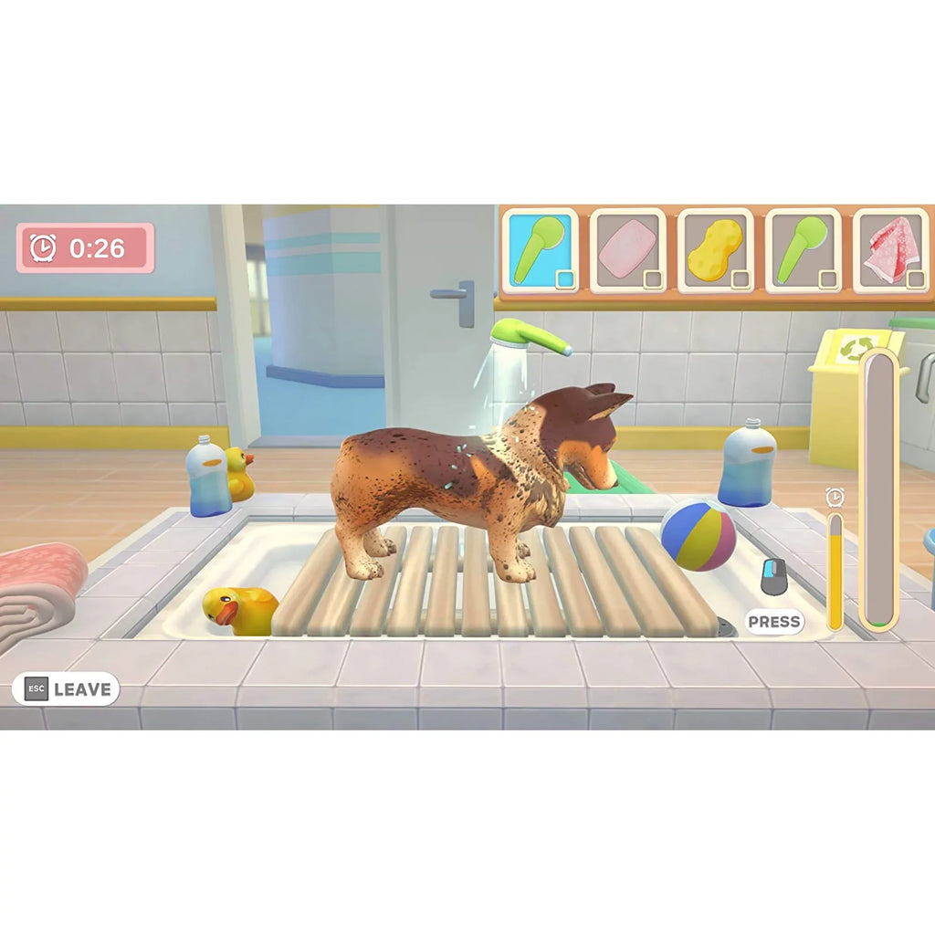 Switch Clinic, My Pet Nintendo Universe