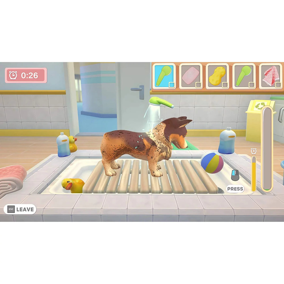 Switch Clinic, My Pet Nintendo Universe