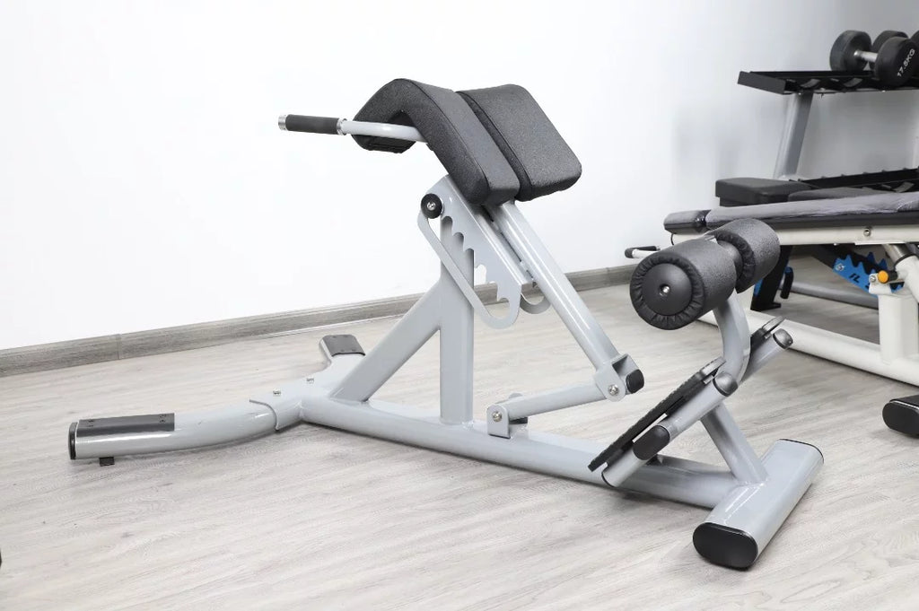 Back Degree Fitness 45 FFS French Silver Extension Hyperextension (New)