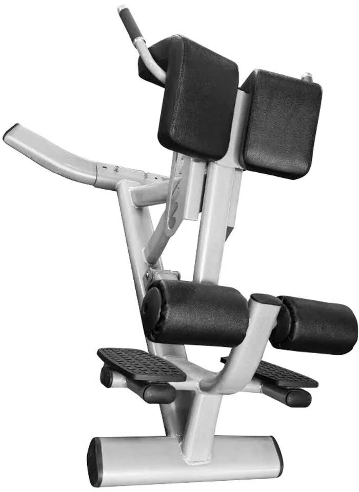 Back Degree Fitness 45 FFS French Silver Extension Hyperextension (New)